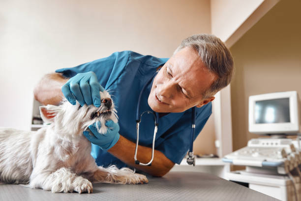 Best After-Hours Emergency Dentist in Clermont, FL
